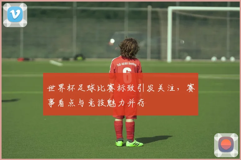 世界杯足球比赛标致引发关注,赛事看点与竞技魅力并存