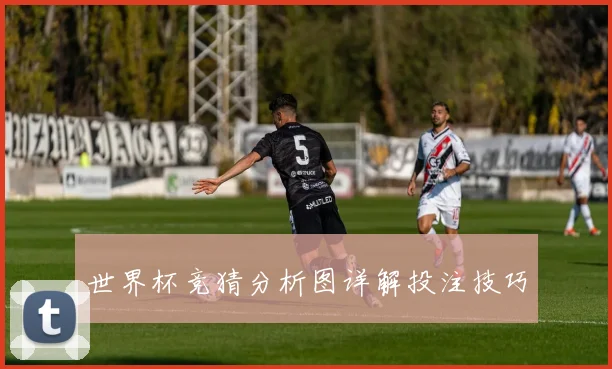世界杯竞猜分析图详解投注技巧