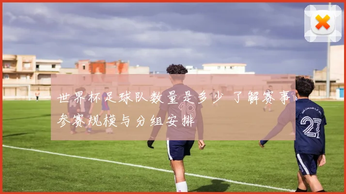 世界杯足球队数量是多少 了解赛事参赛规模与分组安排