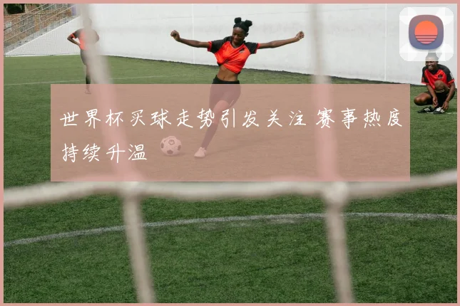 世界杯买球走势引发关注 赛事热度持续升温