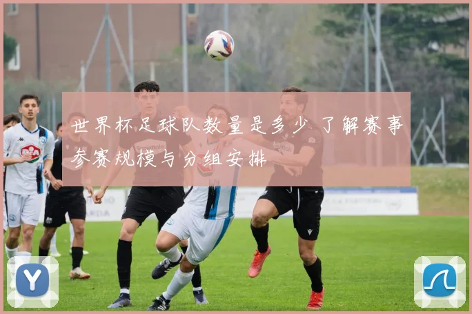 世界杯足球队数量是多少 了解赛事参赛规模与分组安排