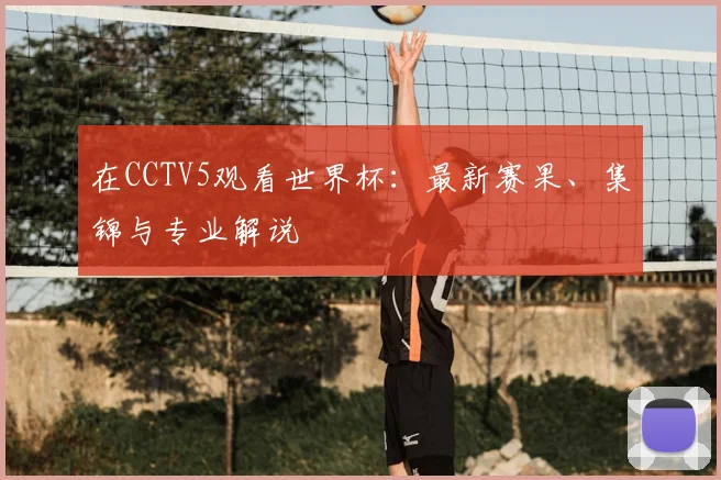 在CCTV5观看世界杯：最新赛果、集锦与专业解说
