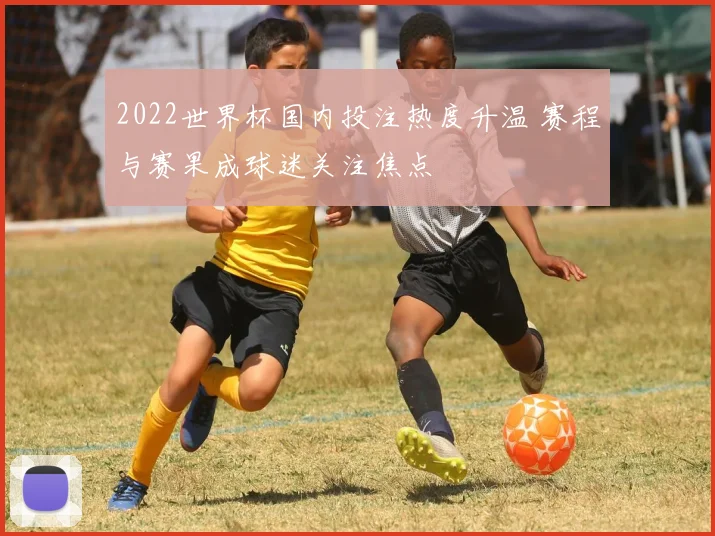 2022世界杯国内投注热度升温 赛程与赛果成球迷关注焦点