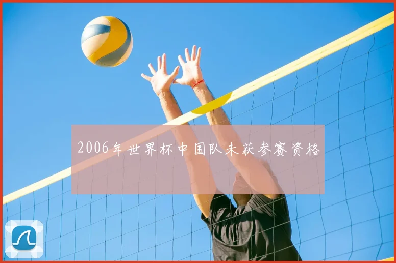 2006年世界杯中国队未获参赛资格