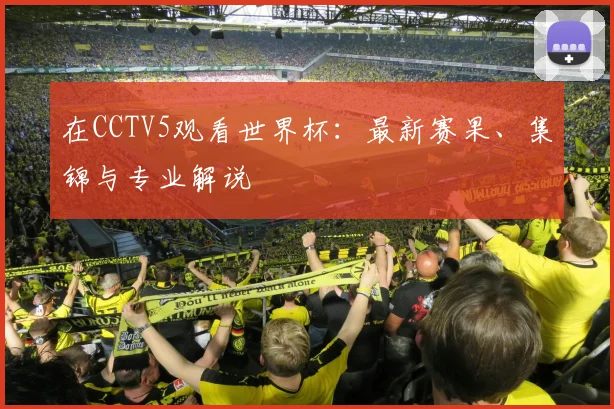 在CCTV5观看世界杯：最新赛果、集锦与专业解说
