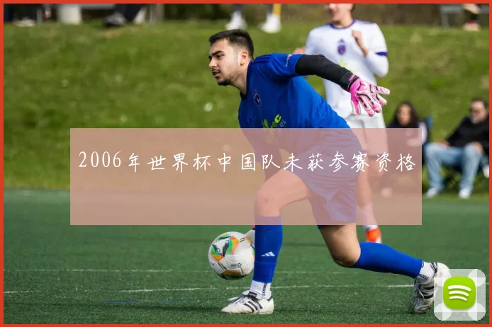 2006年世界杯中国队未获参赛资格