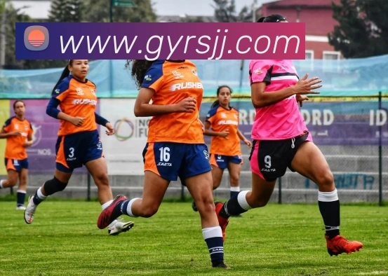 球赛押注app官网APP 高清赛事图